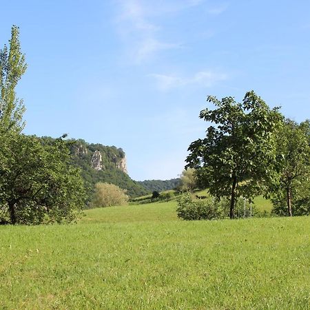 Domaine De Bellevue Gite Du Mont Poupet Marnoz Eksteriør billede