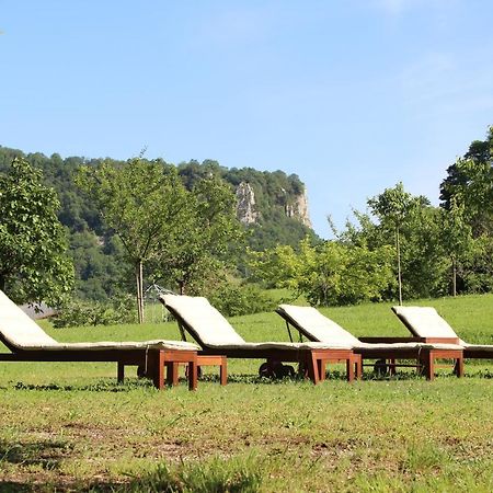 Domaine De Bellevue Gite Du Mont Poupet Marnoz Eksteriør billede
