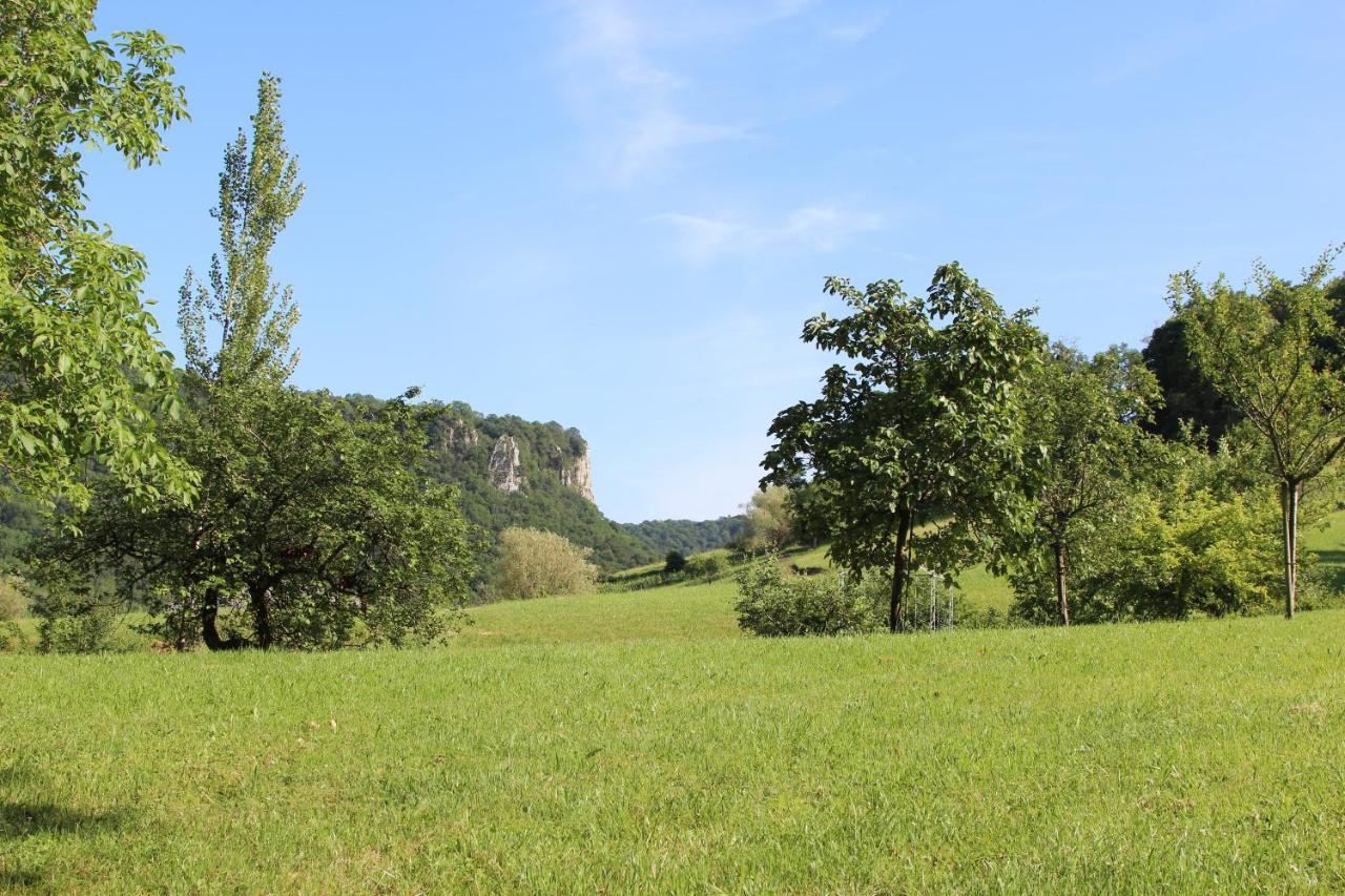 Domaine De Bellevue Gite Du Mont Poupet Marnoz Eksteriør billede